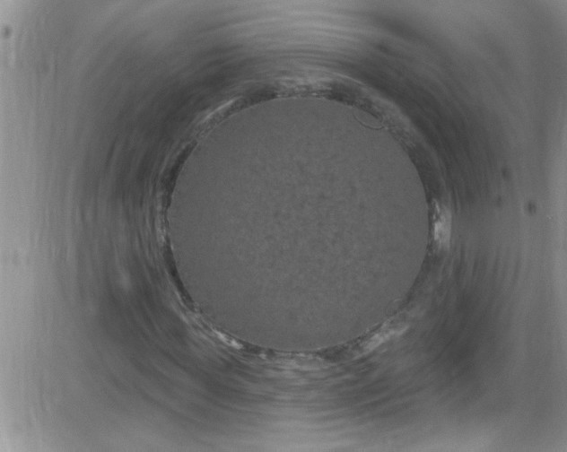 X0000084050819200703022212