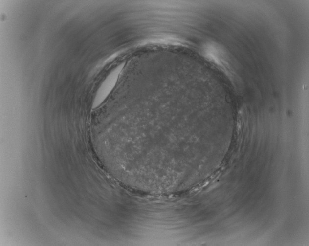 X0000084050822200703022212