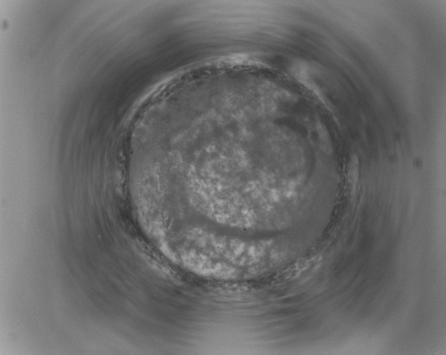 X0000084050823200703022212