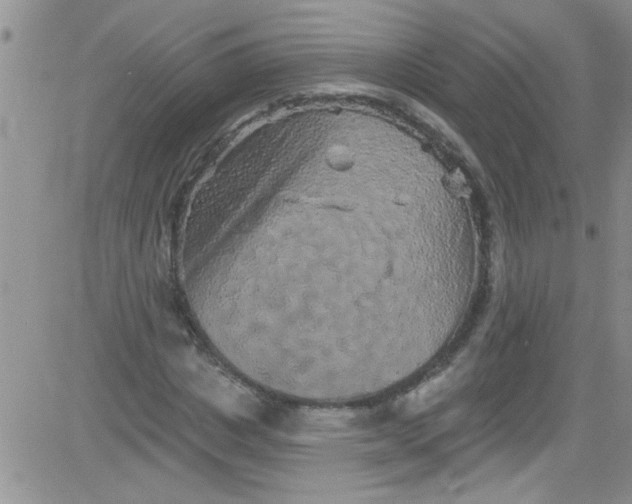 X0000084050825200703022212