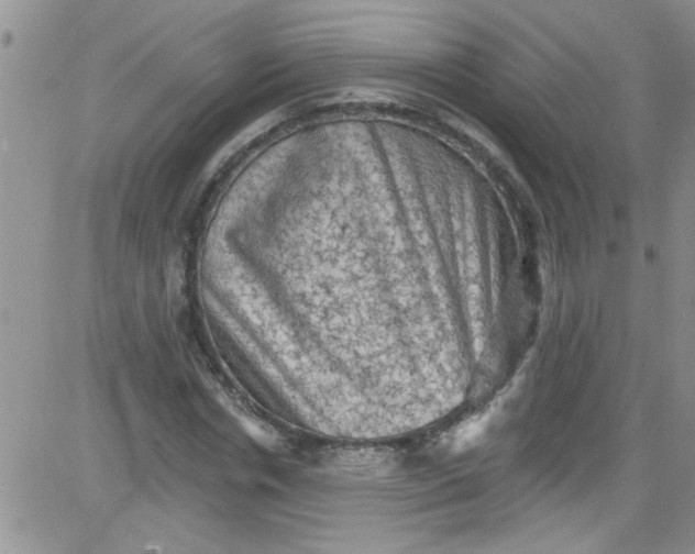 X0000084050826200703022212