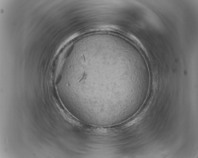 X0000084050827200703022212