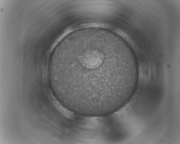 X0000084050828200703022212