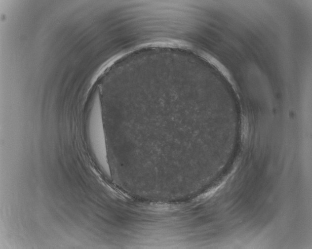 X0000084050829200703022212