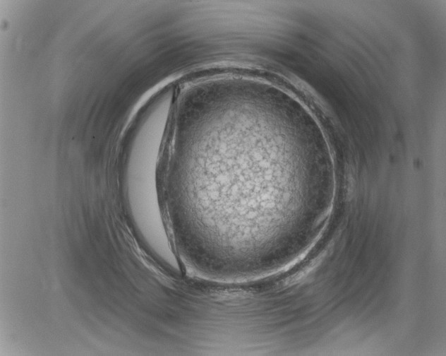 X0000084050830200703022212