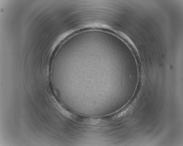 X0000084050831200703022212