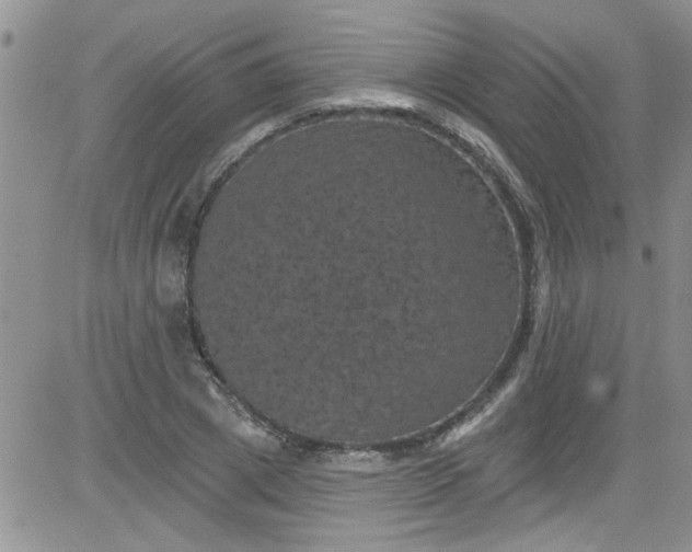 X0000084050833200703022212