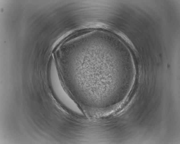 X0000084050834200703022212