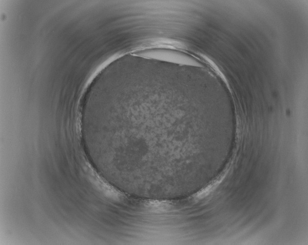 X0000084050835200703022212