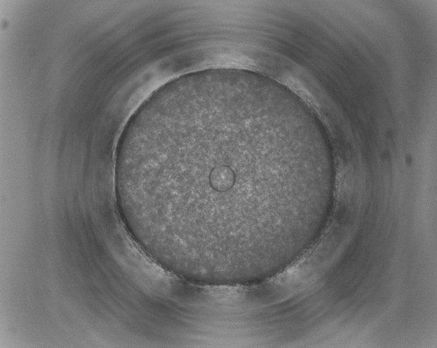 X0000084050836200703022212