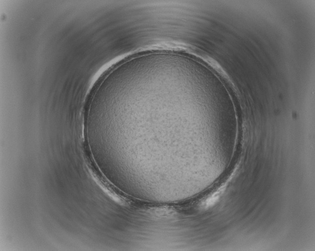 X0000084050838200703022212