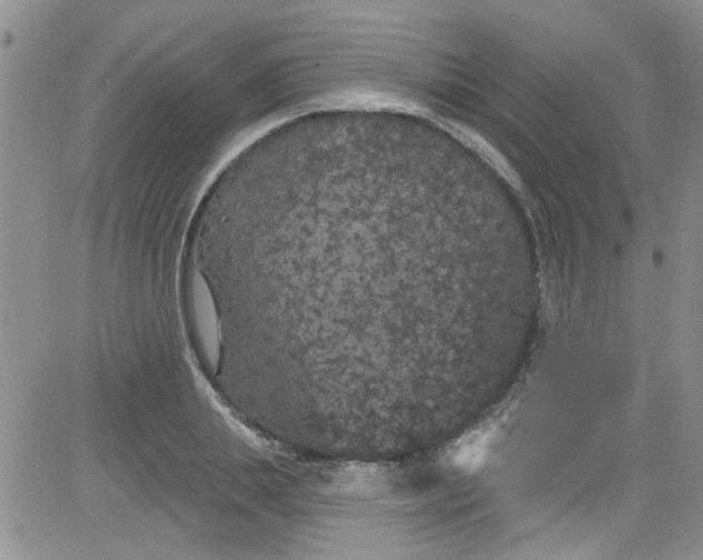 X0000084050839200703022212