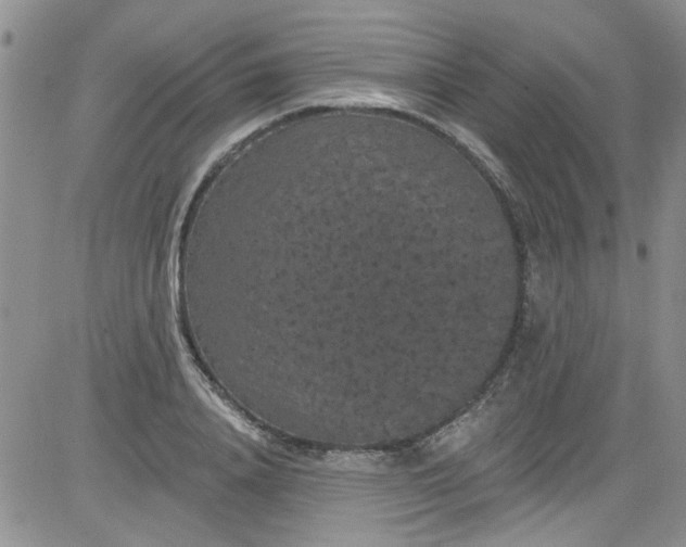 X0000084050840200703022212