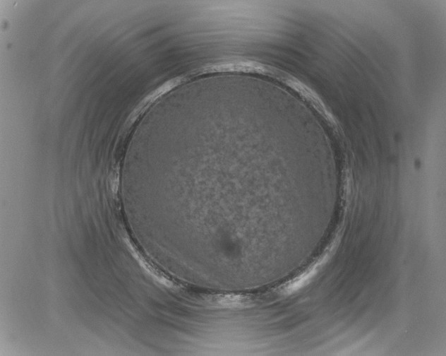 X0000084050841200703022212