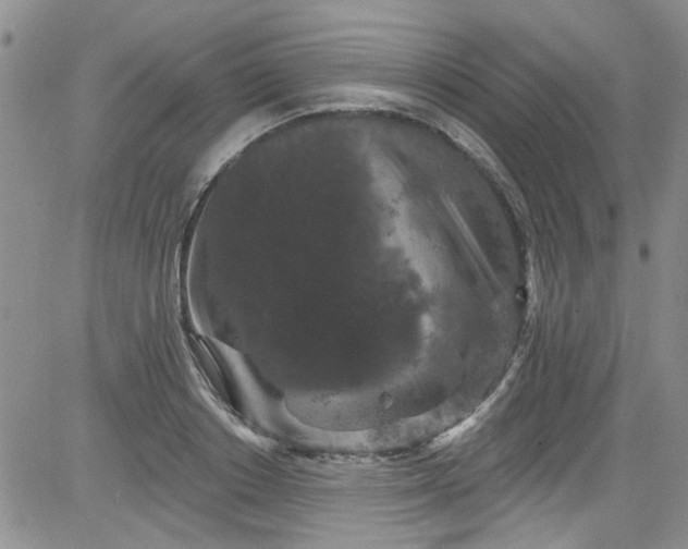 X0000084050842200703022213