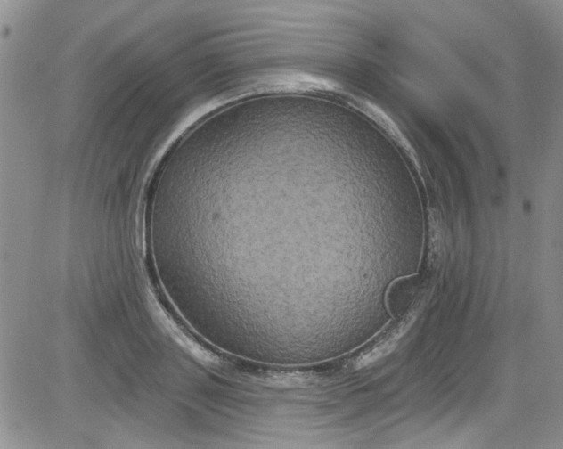 X0000084050843200703022213