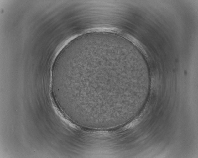 X0000084050844200703022213