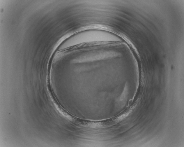 X0000084050845200703022213