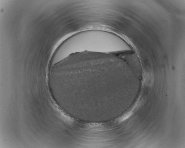 X0000084050846200703022213