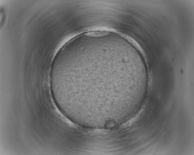 X0000084050847200703022213