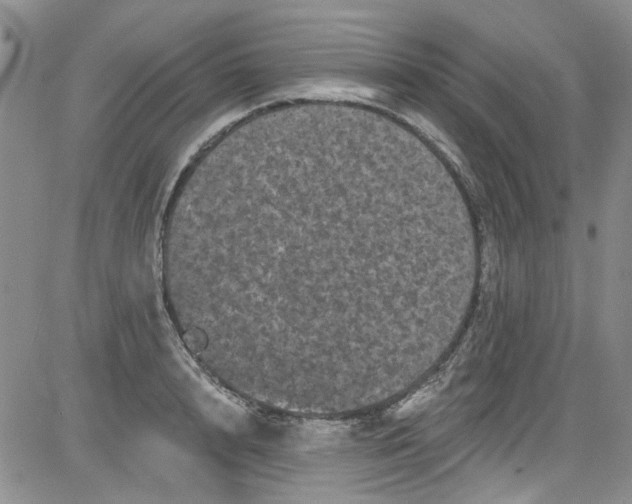 X0000084050848200703022213