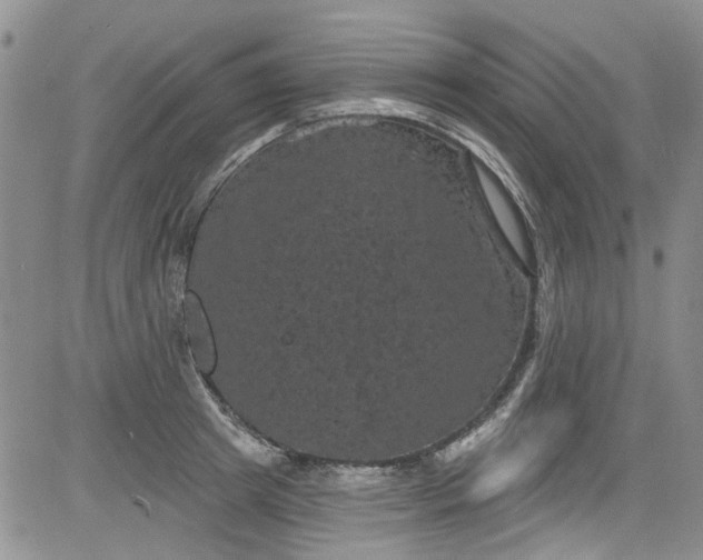 X0000084050849200703022213