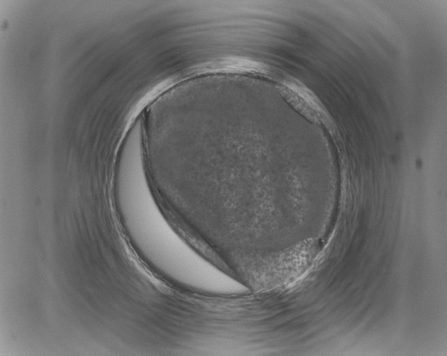 X0000084050850200703022213