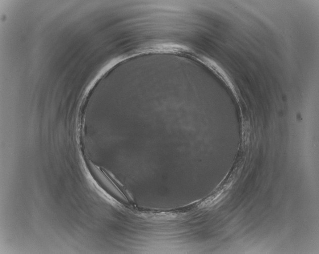 X0000084050851200703022213