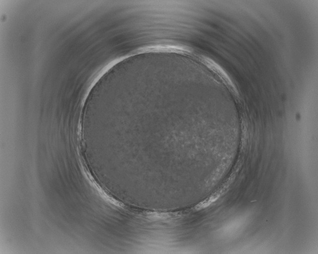 X0000084050852200703022213