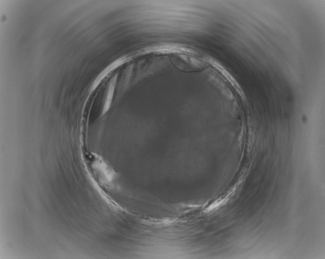 X0000084050853200703022213