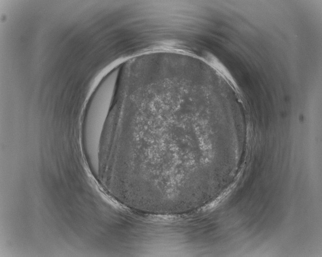 X0000084050854200703022213