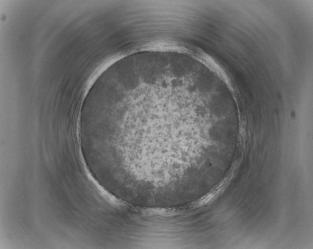 X0000084050855200703022213