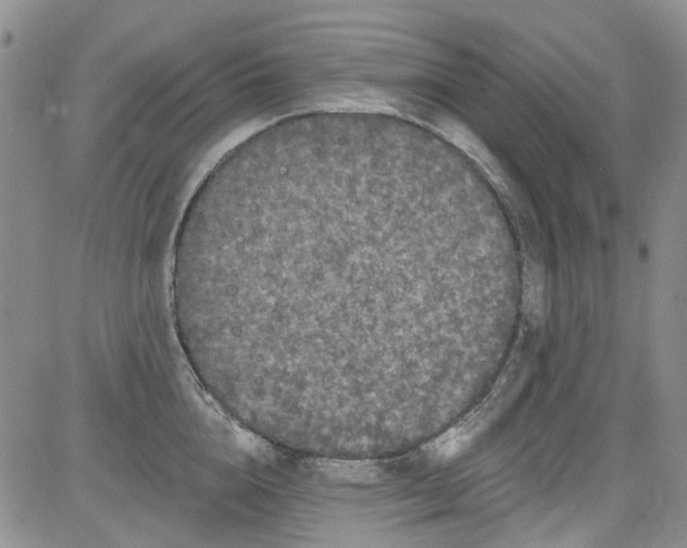 X0000084050856200703022213