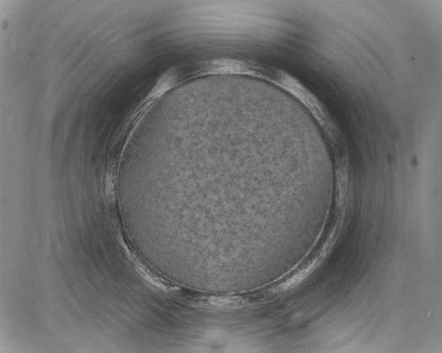 X0000084050857200703022213