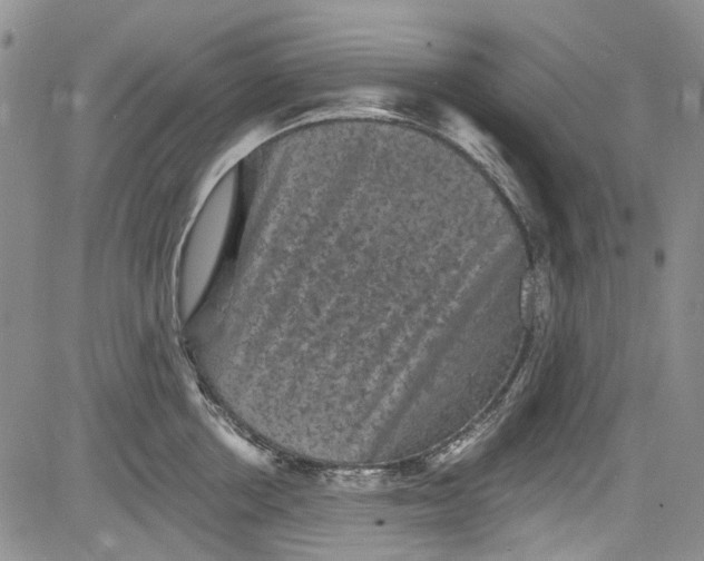 X0000084050858200703022213