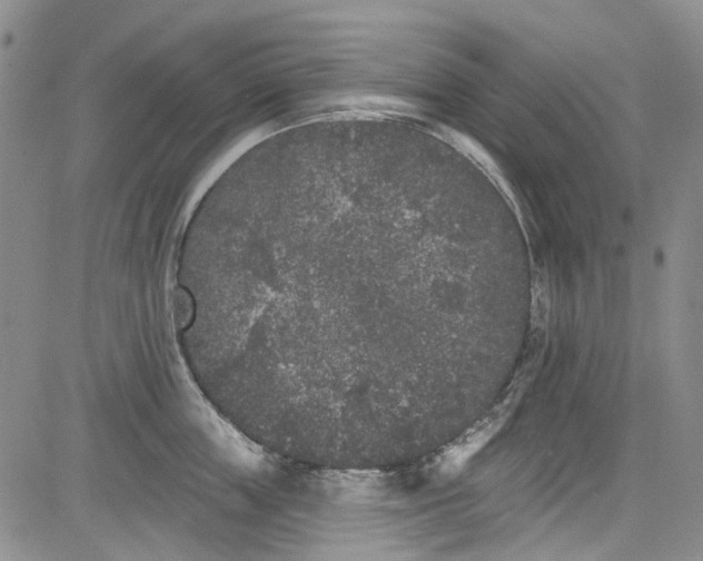 X0000084050859200703022213