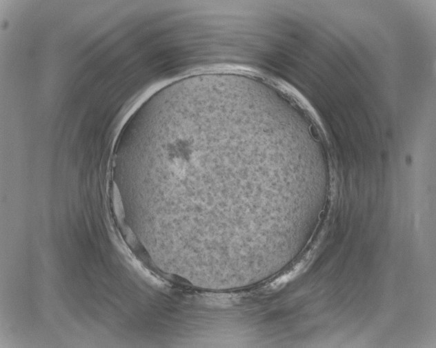 X0000084050860200703022213