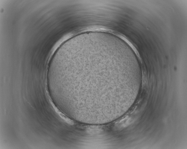 X0000084050861200703022213