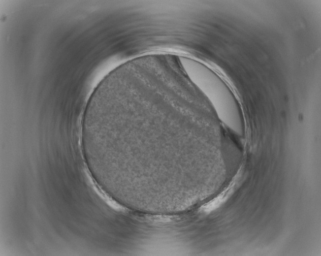 X0000084050862200703022213