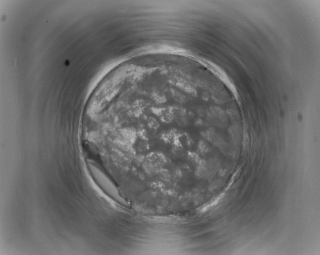 X0000084050863200703022213