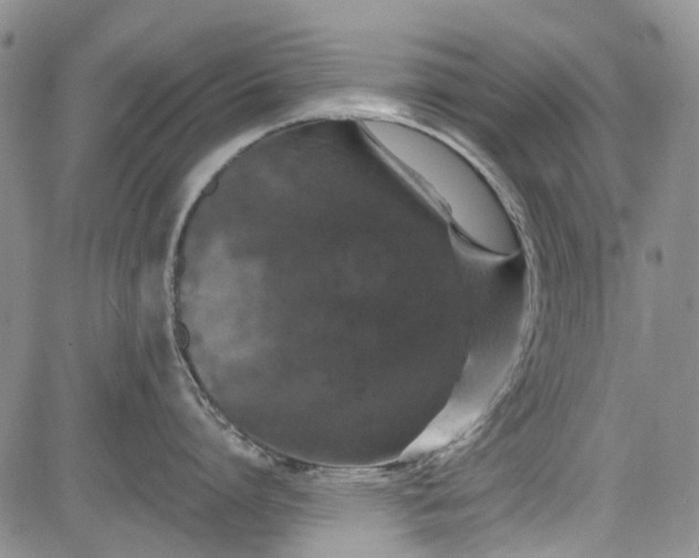 X0000084050864200703022213