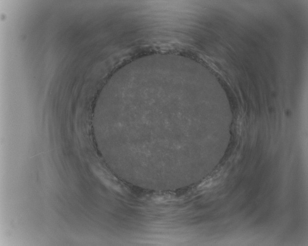 X0000084050865200703022212