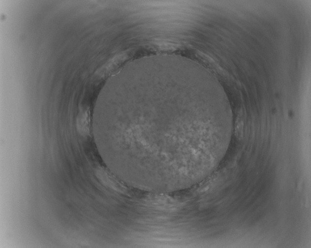 X0000084050866200703022212