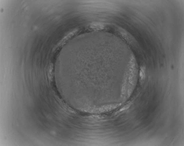 X0000084050867200703022212