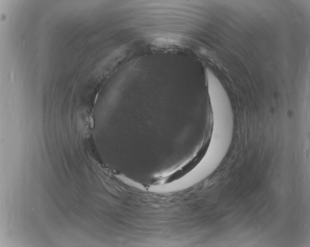 X0000084050868200703022212