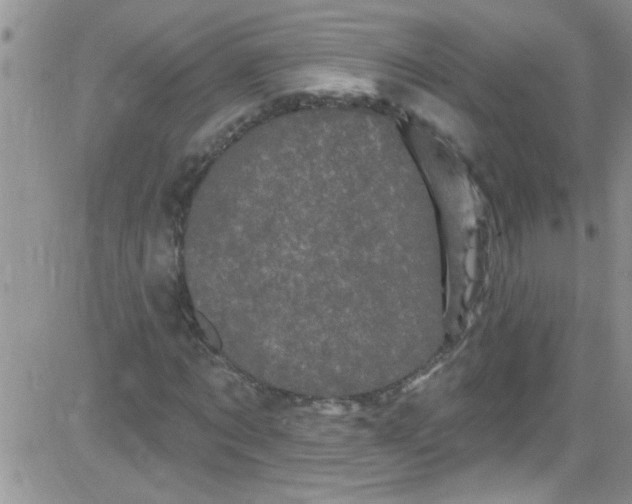 X0000084050869200703022212