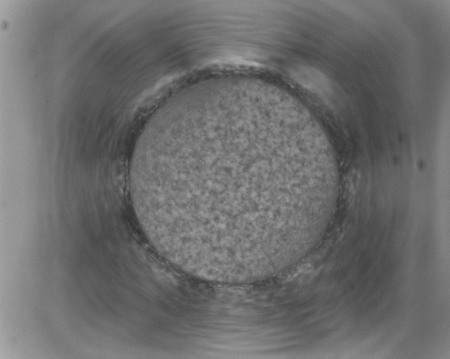 X0000084050870200703022212