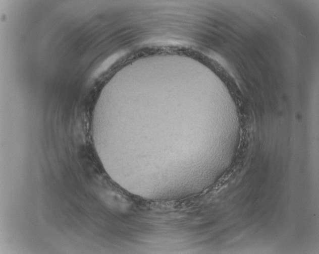 X0000084050871200703022212