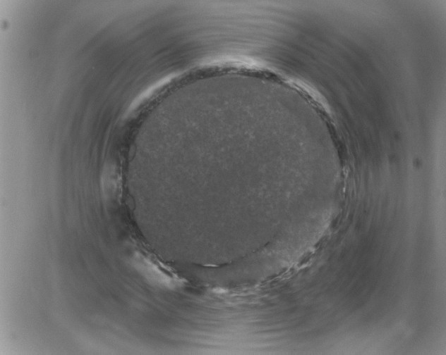 X0000084050872200703022212