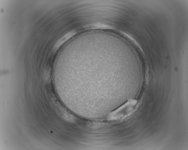 X0000084050873200703022212